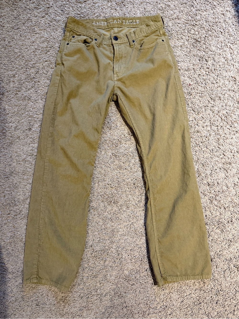 American Eagle Outfitters Tan Men's Corduroy Pants 30x30